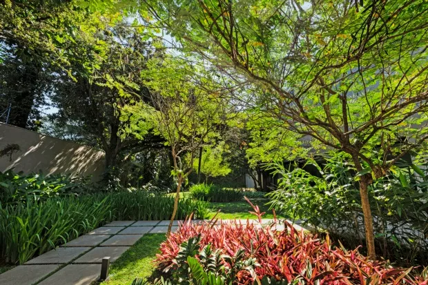 flores-vermelhas-img-8249.webp